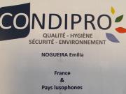 Condipro
